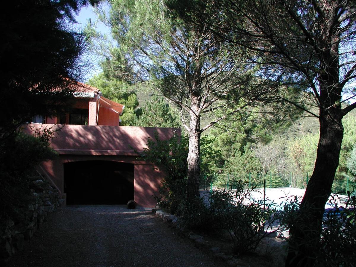 Chambres D'Hote L'Amandiere A Cucugnan Exterior foto