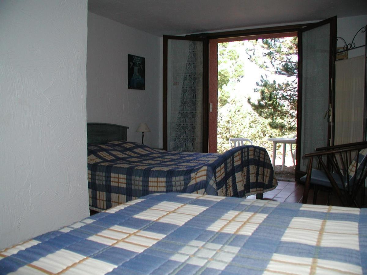 Chambres D'Hote L'Amandiere A Cucugnan Exterior foto